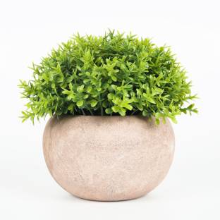 ELITEHOME Artificial Wild Plant With Pot For Home decoration, Garden and Office Decor Wild Artificial Plant  with Pot