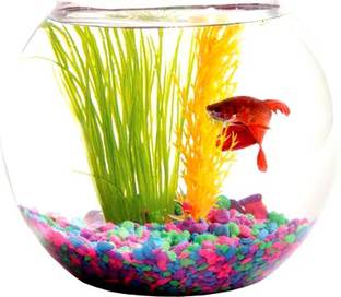 BILAL ANSARI shiny clear crystal glass plant container pot for planting plants for balcony, room, home and it is also used as fish bowl Plant Container Set