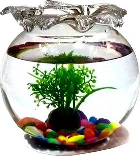 BILAL ANSARI shiny clear crystal glass plant container pot for planting plants for balcony, room, home and it is also used as fish bowl Plant Container Set