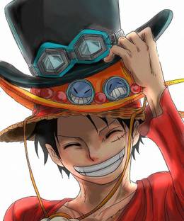 One Piece Monkey D Luffy Hat Anime Anime Series Poster Print Paper Print