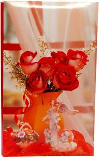 NATRAJ 204 pocket 4 "x 6" Album