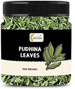 ORGANIC NATURE Dry Mint Leaves Sukha Pudina Patti pudhina Leaves 50 Gram (Jar Pack)