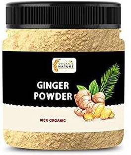 ORGANIC NATURE Dry Ginger Powder 150 Gram (Jar Pack)