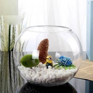 BILAL ANSARI shiny clear crystal glass plant container pot for planting plants for balcony, room, home and it is also used as fish bowl Plant Container Set