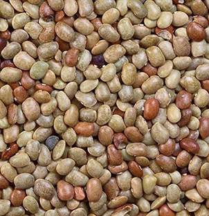 kotaliya kulthi ki dal Seed