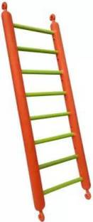 AKSHAT ENTERPRISES Bird Ladder single (35/1) Bird Play Stand
