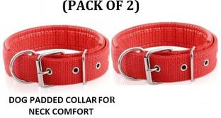Hachiko Dog Everyday Collar