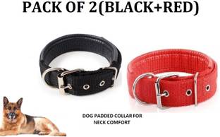 Hachiko Dog Collar & Leash