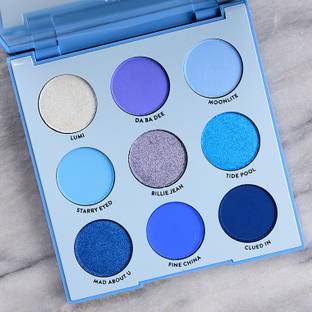 S,F,R Color Blueberry 9 Multicolor Eyeshadow Palette (Matte,Shimmer,Glitter) 9 g
