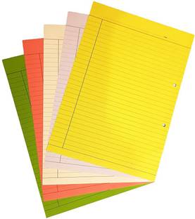 LRS Assignment Paper/Project Sheets MULTICOLOR- BOTH SIDE RULE - 170-220 GSM- Pack of 100 Sheets BOTH SIDE RULE A4 170 gsm, 220 gsm A4 paper