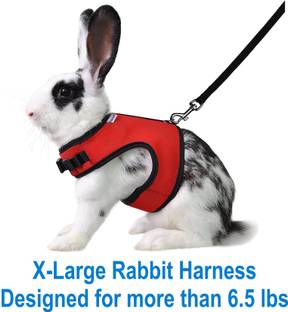 PEDIGONE Red Rabbit Harness Suitable for more than 6.5 lbs X-Large Rabbit Harness & Leash