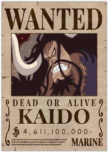 Kaido Wanted Anime Paper Printed Poster without Frame Paper Print