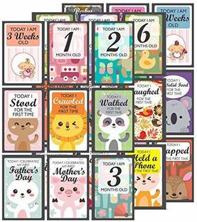 Exciting Lives Baby Milestone Cards Set Greeting Card