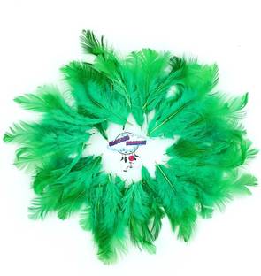 CLOUDED HOBBIES Pack of 100 Decorative Feathers