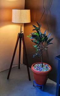 Antiquity Tripod Floor lamp