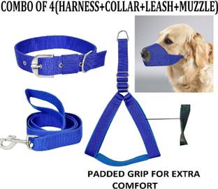 Hachiko Dog Collar & Leash
