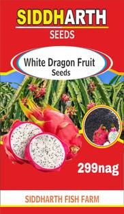 SIDDHARTH FISH FARM White dragon Seed