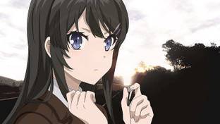 Anime Rascal Does Not Dream Of Bunny Girl Senpai Mai Sakurajima Matte Finish Poster Paper Print