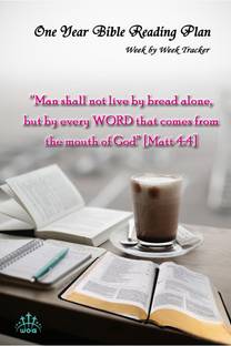 One Year Bible Reading Plan