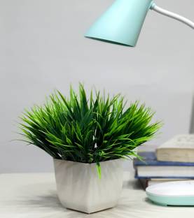Litleo Bonsai Artificial Plant  with Pot