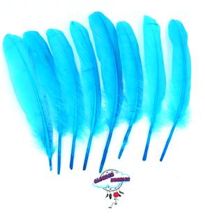 CLOUDED HOBBIES Pack of 20 Decorative Feathers