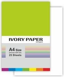 ROYALSHOP A4-25 IVORY PAPER UNRULED A4 210 gsm Watercolor Paper