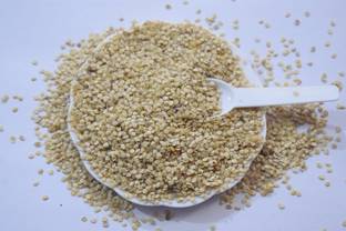 Jungli Brinjal seed GRAFTING BRINJAL SEED, JUNGLI BAIGAN KE BEEJ, TURKEY BERRY SEED, SOLANUM TORVUM Seed