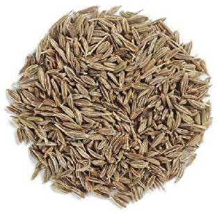 V Seed Cumin (Jeera) Seed Seed