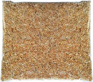 SWEZO Premium budgie food (500g) Blue Bird Bird Feeder