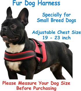BODY BUILDING Dog Belt Red Nylon Fur Padded Dog Harness Adjustable Chest Size 19-23 inch Specially for Small Breed Dog Standard Harness