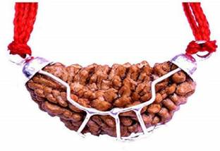 NAVYAKSH Original Nepali 1 Mukhi Original with Lab Certificate One Face Rudraksha लकड़ी