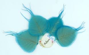 Palesaa Arctic Blue Natural Skeleton Leaves Pack of 50pcs DIY,Decor,Craft Artificial Plant