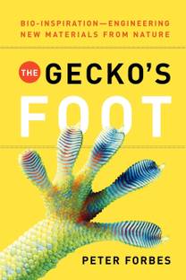 The Gecko's Foot