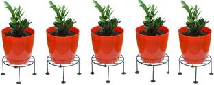 Easyroot Metal Round Plant Stand, Flower Pot Stand, Gamla Stand (Pack of 5), Black Plant Container Set