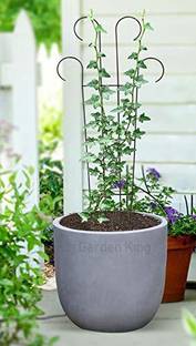 GREEN TOUCH Metal Trellis Plant Support,Plant Supporters,Trellis Plant Supporters for Climbing Vines,Lightweight Trellis for Climbing Plants Creeper Support for Plants Pack of 1 Plant Straightener