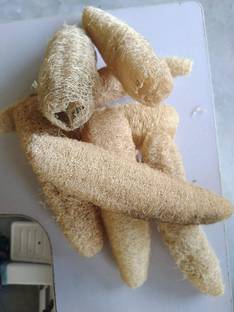 SharanyaD Loofah