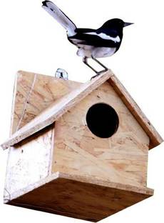 AMIJIVDAYA ROBINE BIRD HOME Window Bird Feeder Bird Feeder
