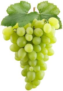 XOLDA Grapes Fruit Seed