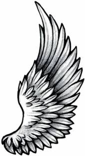 Ordershock Wings Temporary Tattoo Stickers For Male And Female Tattoo Body Art