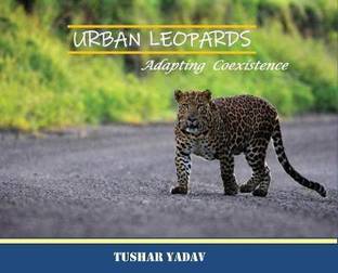 Urban Leopards, Adapting coexistence