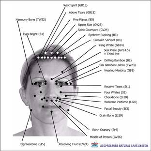 ANCS Face kit-001 Acupressure Face Chart Massager