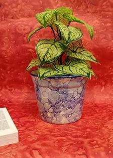 caffeine Ceramic Handmade Blue and White Planter Large Size (Set of 1) Plant Container Set