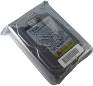 Western Digtal RE4 250 GB Desktop Internal Hard Disk Drive (HDD) (RE4 WD2503ABYX)