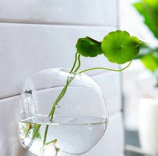 MAGICMOON Crystal Clear Glass Wall Aquarium , Wall Vase For Home Decor (Size:- 5 Inches) (Pack of 1) Plant Container Set