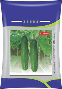 Qualtivate ® F1 Hybrid Cucumber Seeds(60 Seeds) Seed