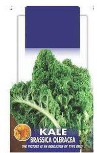 VibeX Brassica Leave Kale Edible Green Leaves Seeds Seed