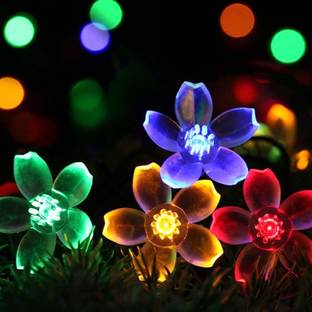 Ascension 16 LEDs 3 m Multicolor Steady Flower Rice Lights