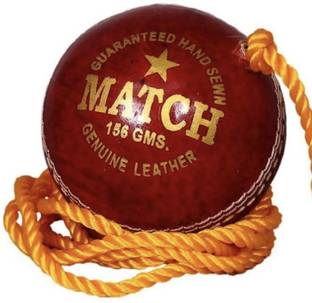 The Bhavya Sports Hanging Cricket Training Ball