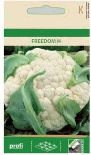 CYBEXIS Cauliflower Freedom H Seeds-250 Seeds Seed