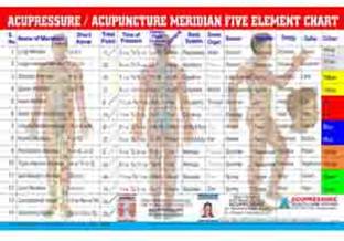 Acupuncture Meridian Summary Chart Paper Print